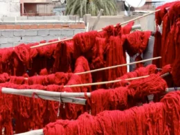 RED colours of Morocco