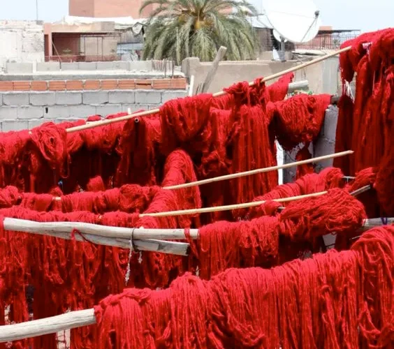 RED colours of Morocco