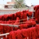 RED colours of Morocco