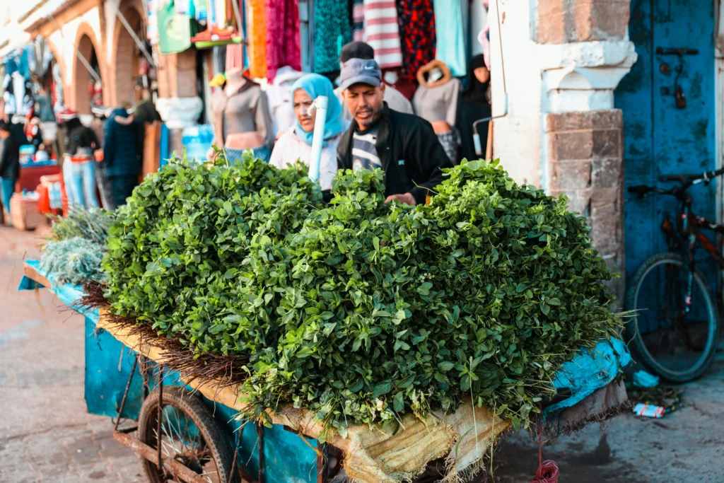 Green Colours of Morocco : Tea herbs