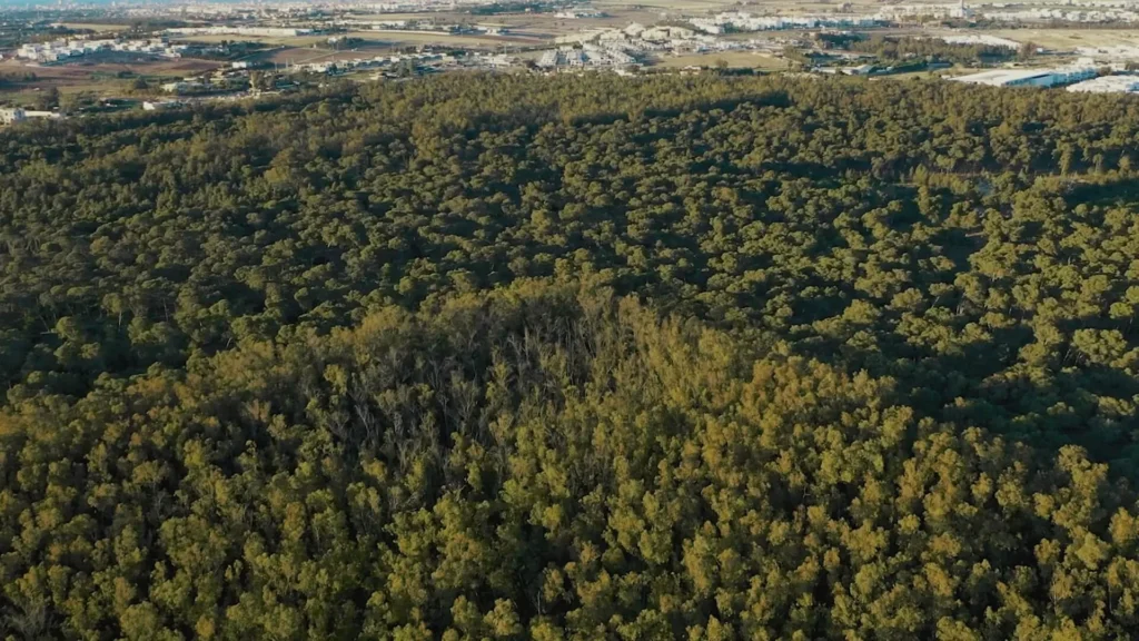 Casablanca : Bouskoura Forest